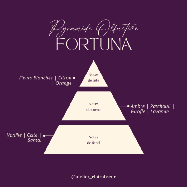 Bougies de Lithothérapie, infusés de pierres naturelles. Fabrication artisanale avec de la cire végétale, des parfums de Grasse, vegan et cruelty free. Bougie Fortuna avec Citrine, Pierre du Soleil et Ambre, parfum boisé et lavande pour le bien-être. Bougie pierres naturelles. Bougie de soin énergétique. Bougie énergétique. Bougie de soin. Bougie méditation.