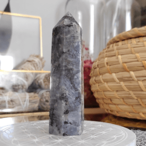Larvikite - Pierre de Transformation Énergétique et Équilibre Intérieur - lithothérapie
